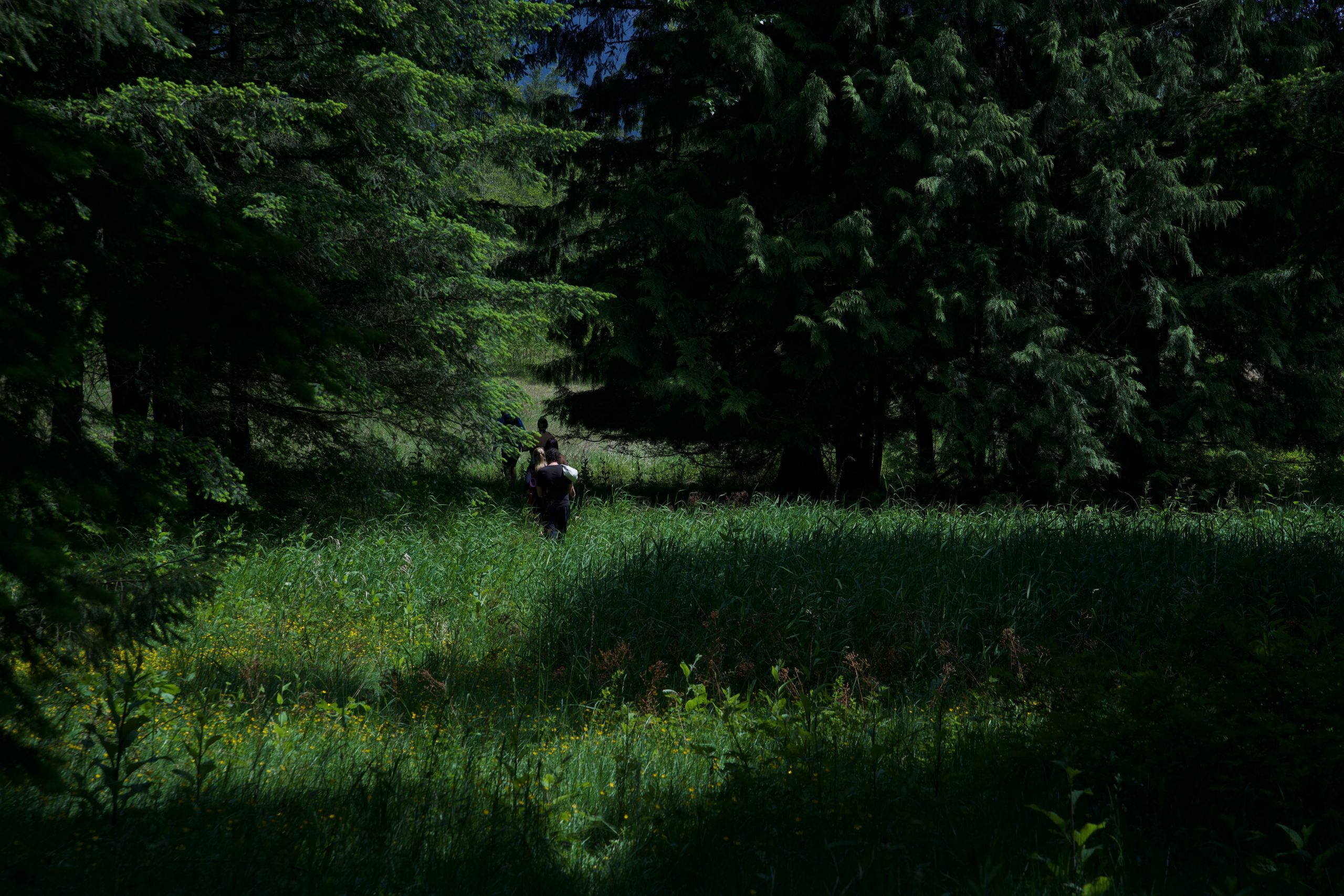 Unhurried and personal at Santé Wellness Retreat