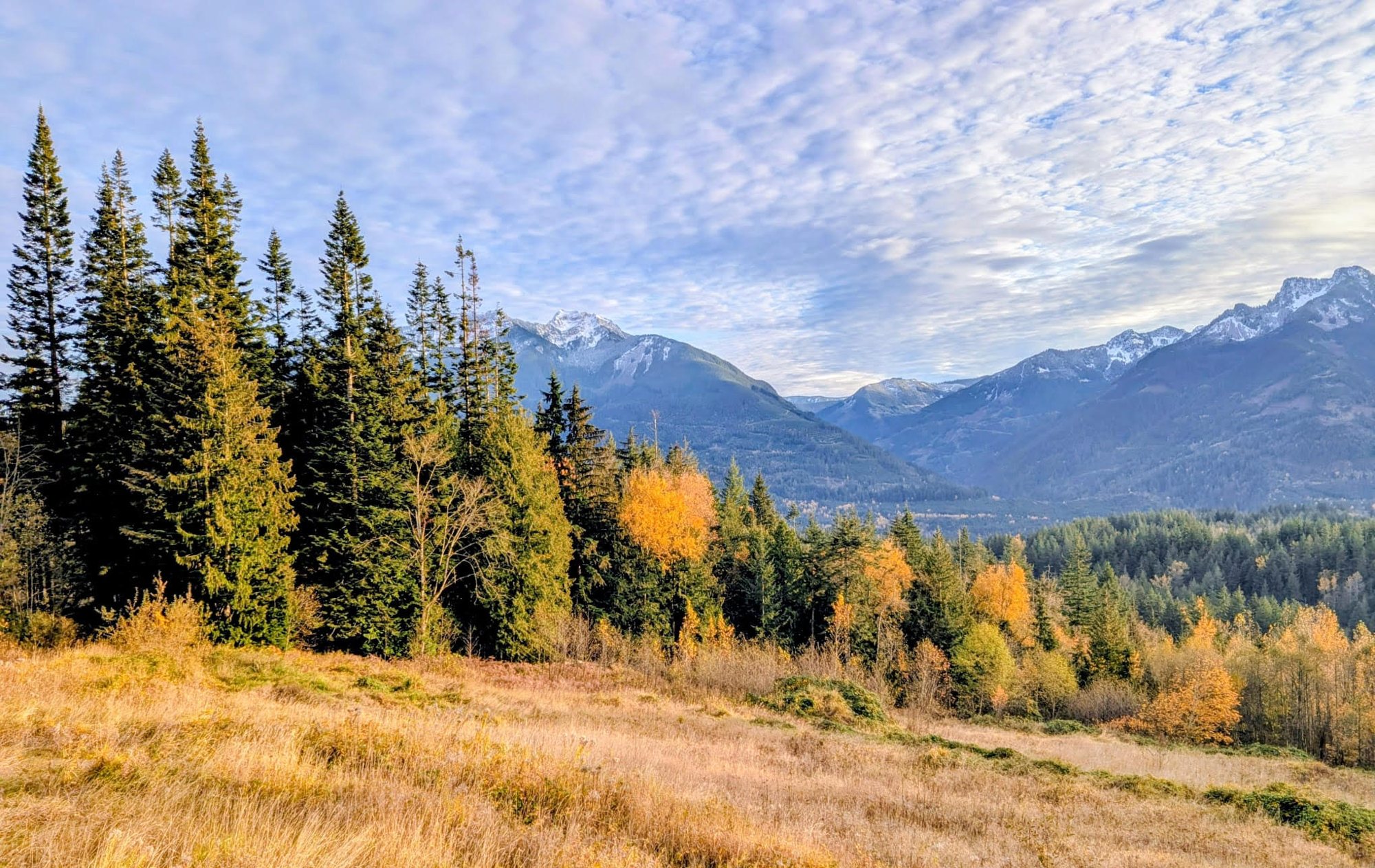 Forest and valley views across the grounds at Santé Wellness Retreat